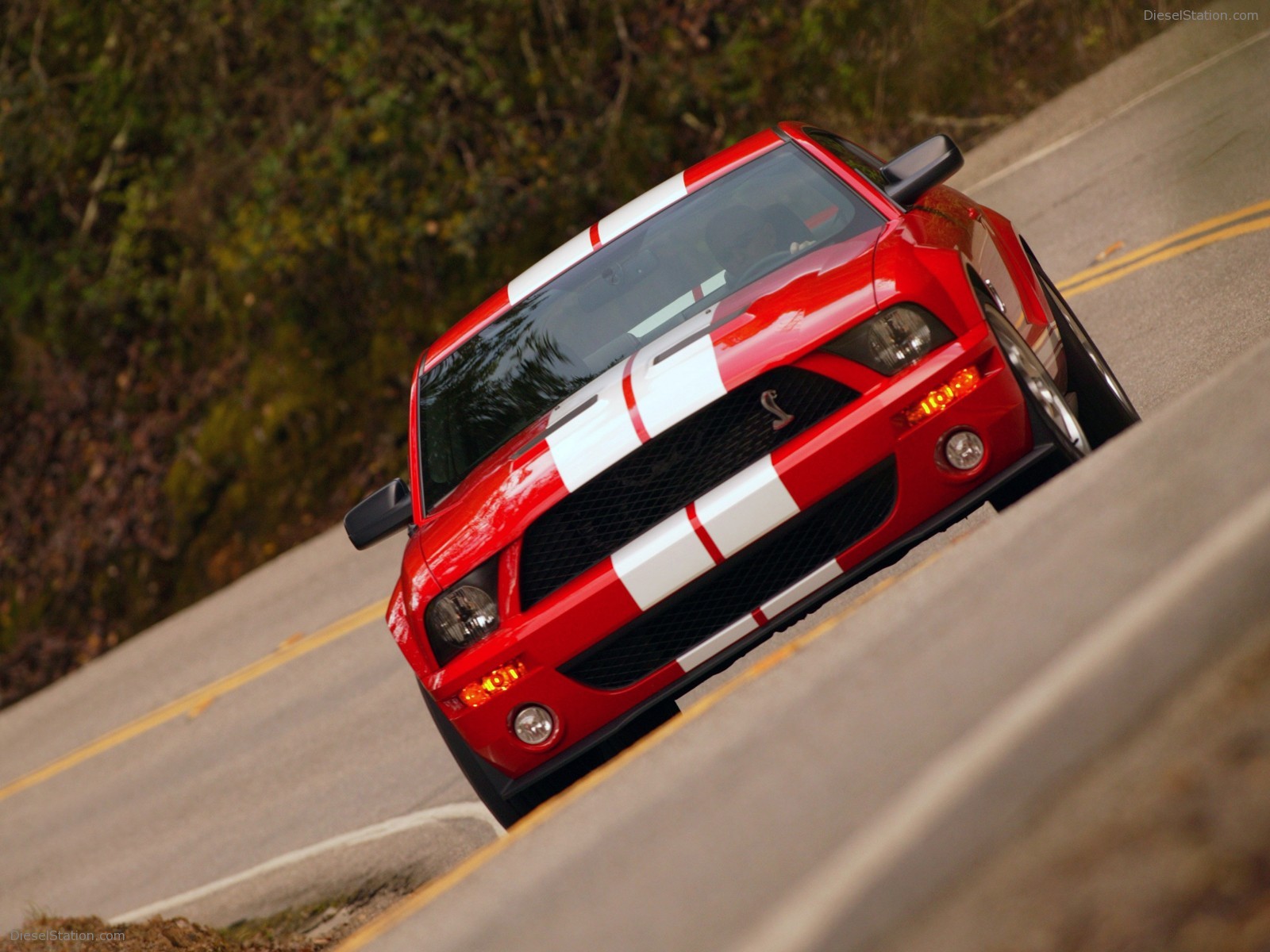 Ford Shelby Cobra GT500